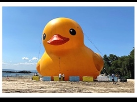 "World's Largest Rubber Duck Floating Back To Playland Beach Again "