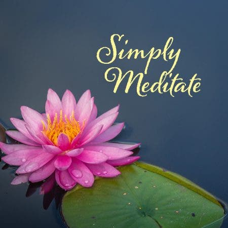 Tuesday Simply Meditate