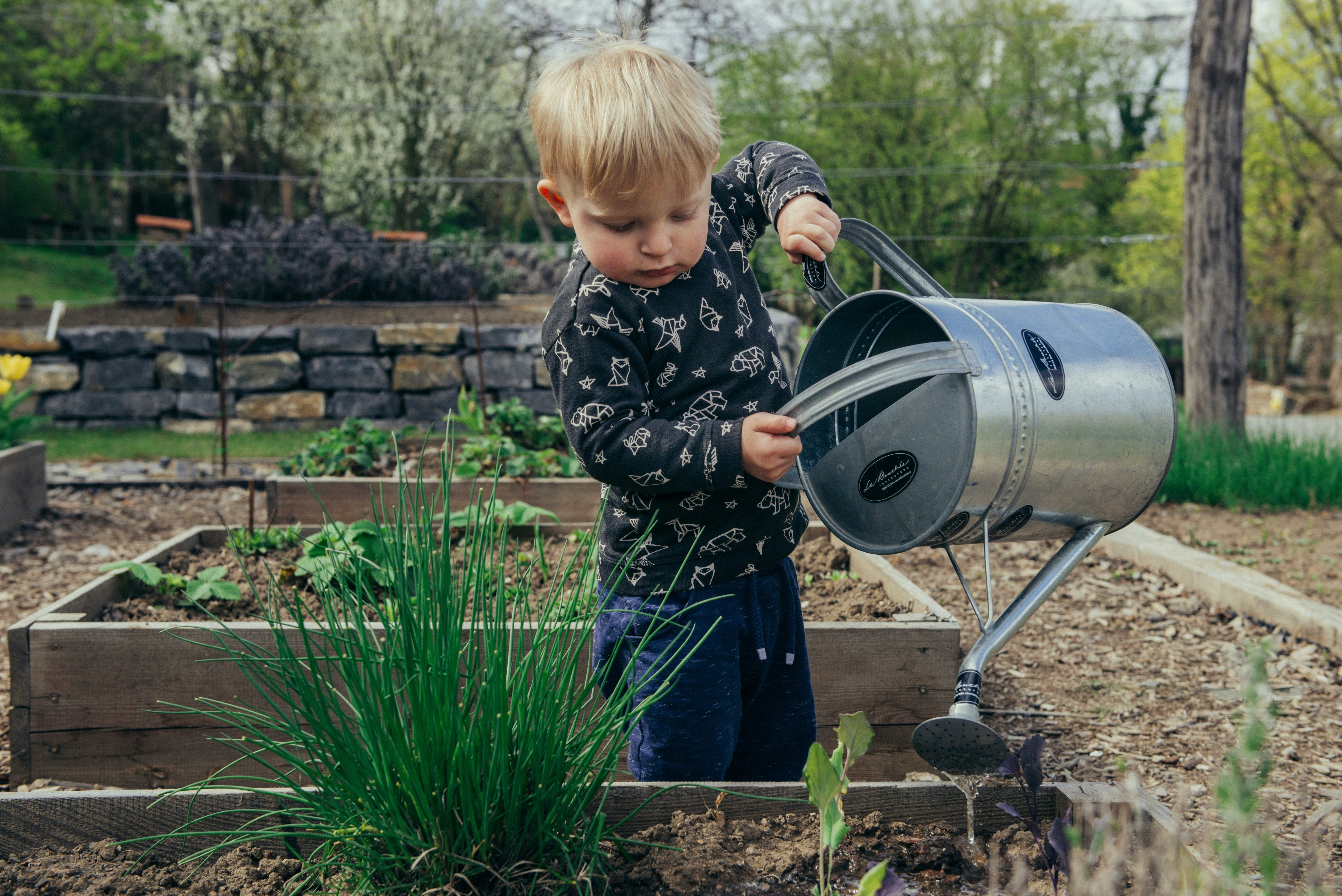 Garden Party - Drought Friendly Planting