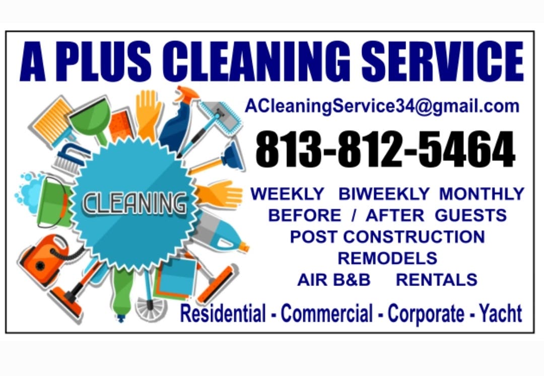 Professional Cleaning Service 