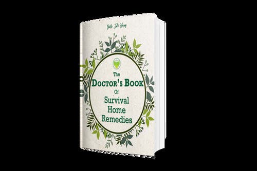 The Doctor's Book Of Survival Home Remedies 