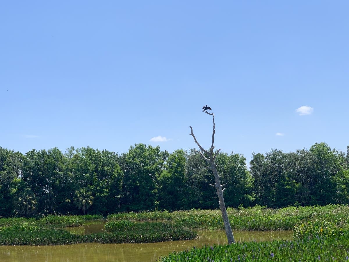 1,800 Acres Targeted For Wetland Restoration Near Whitewater