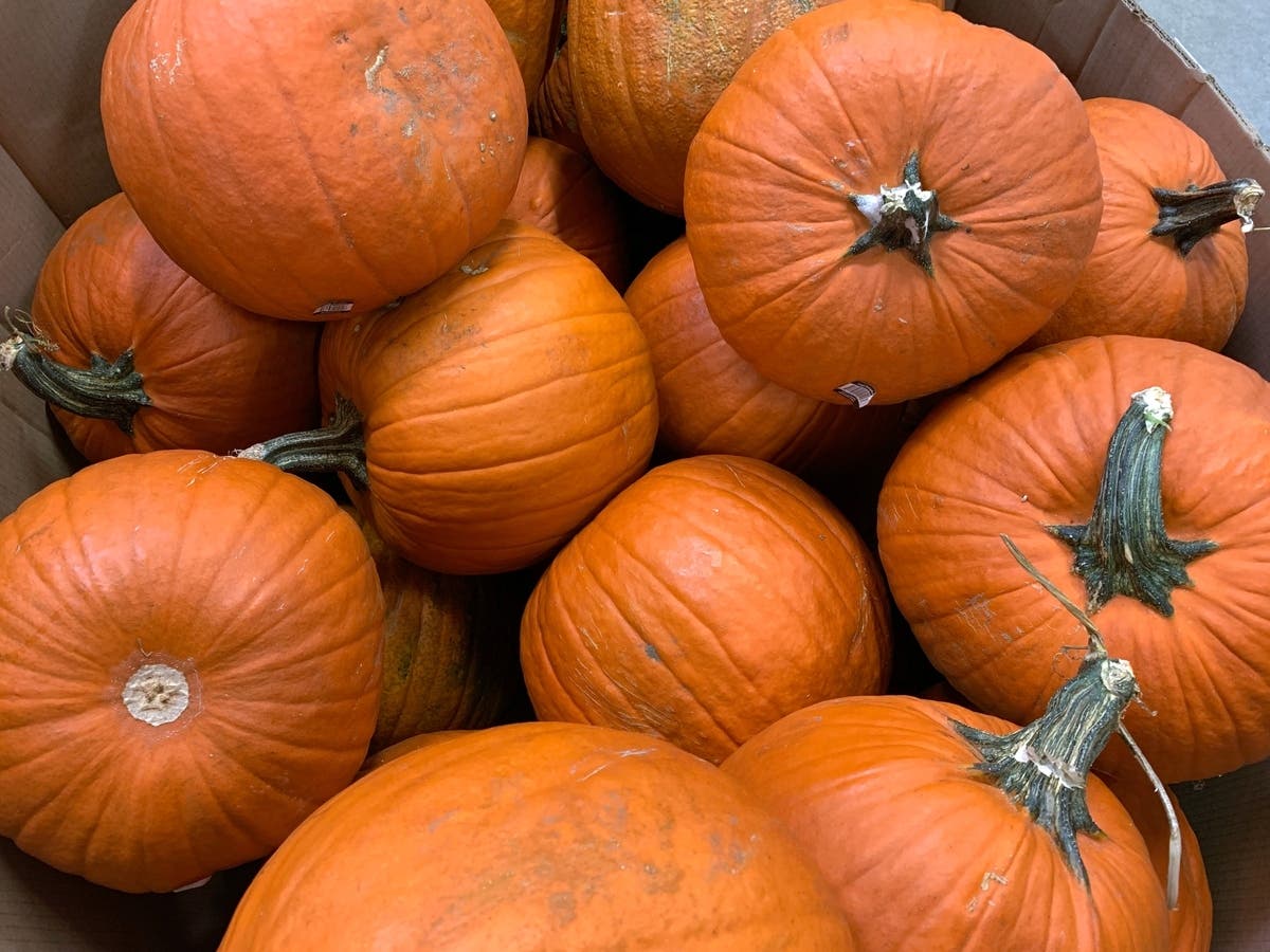 Harvest Fair Returning To Wisconsin State Fair Park