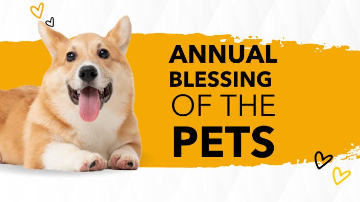 Annual Blessing of the Pets