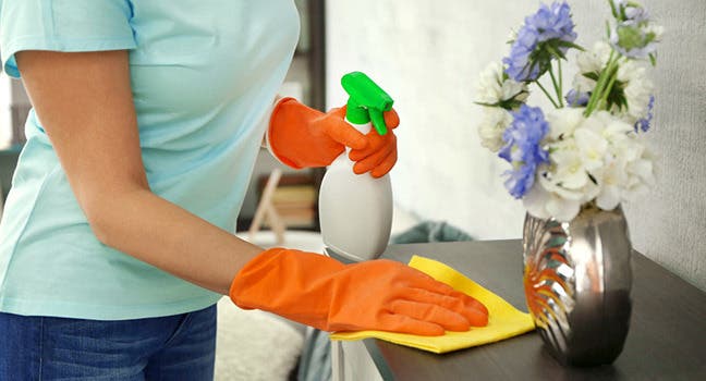 House Cleaning in Waukesha WI