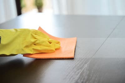 House Cleaning Services Near You in Michigan