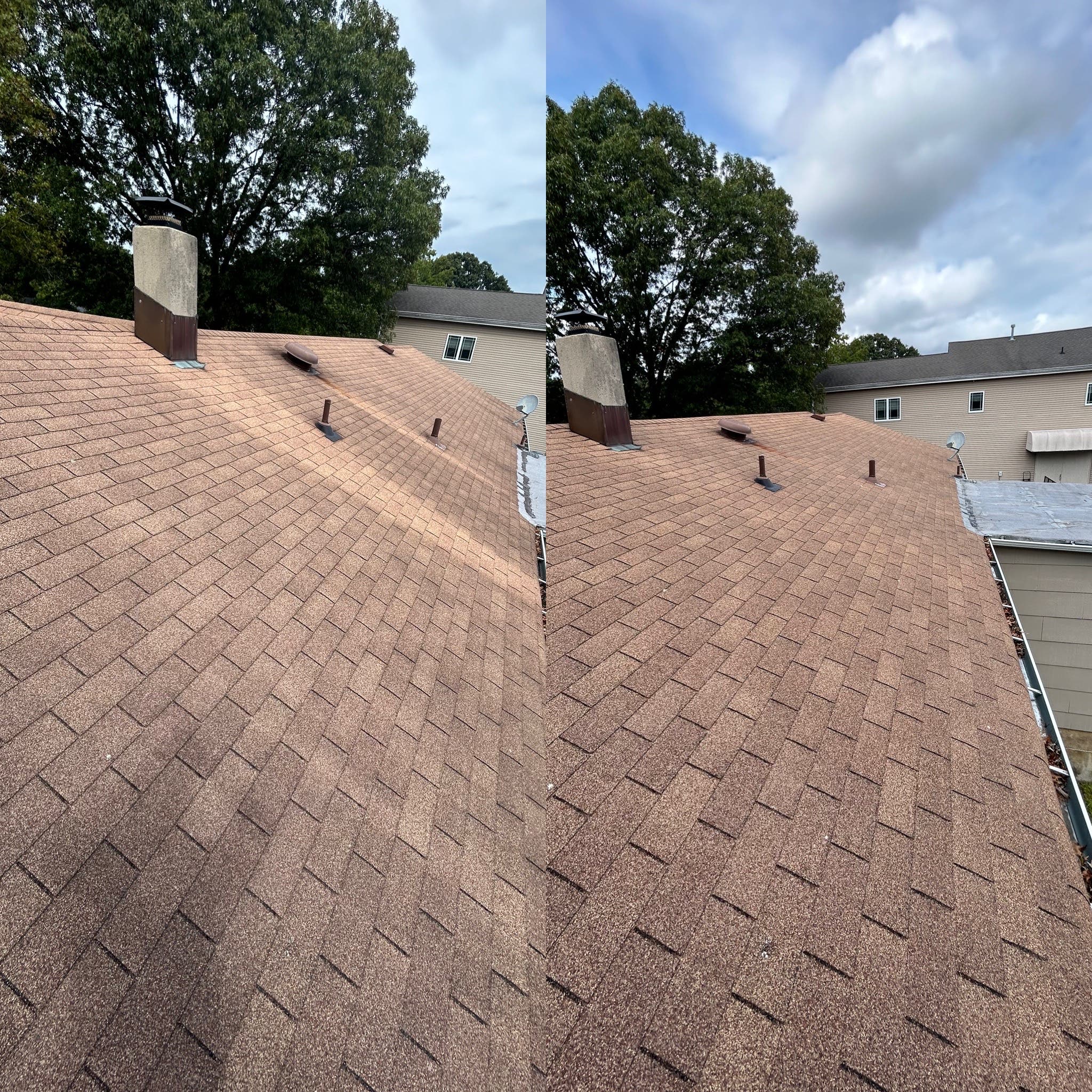What’s Eating YOUR roof?