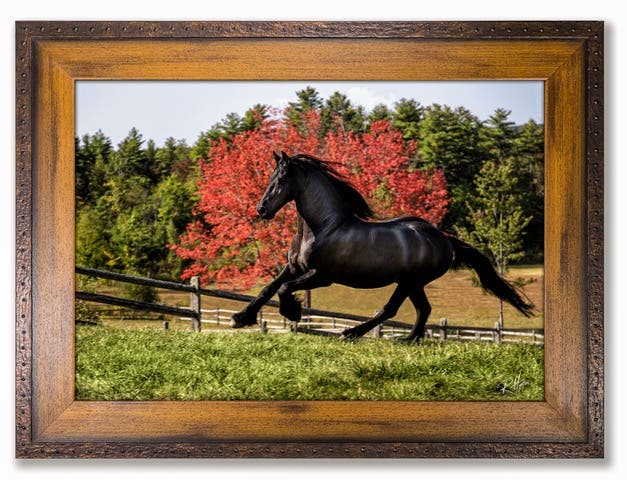 There are horses in the Rowley Public Library! Art Show Opening Reception