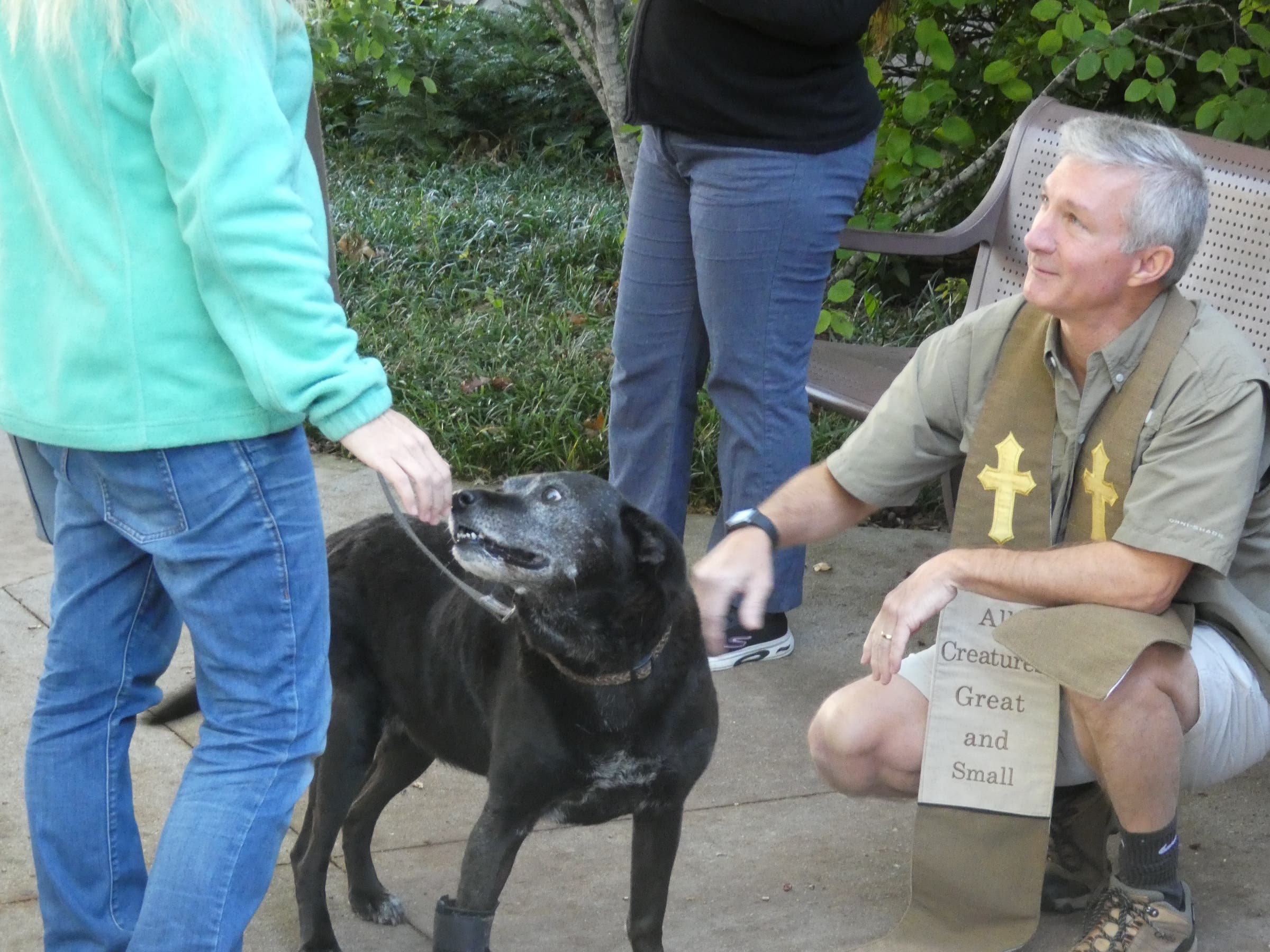 Decatur Presbyterian Church Announces the Blessing of the Pets Event for Saturday, September 28