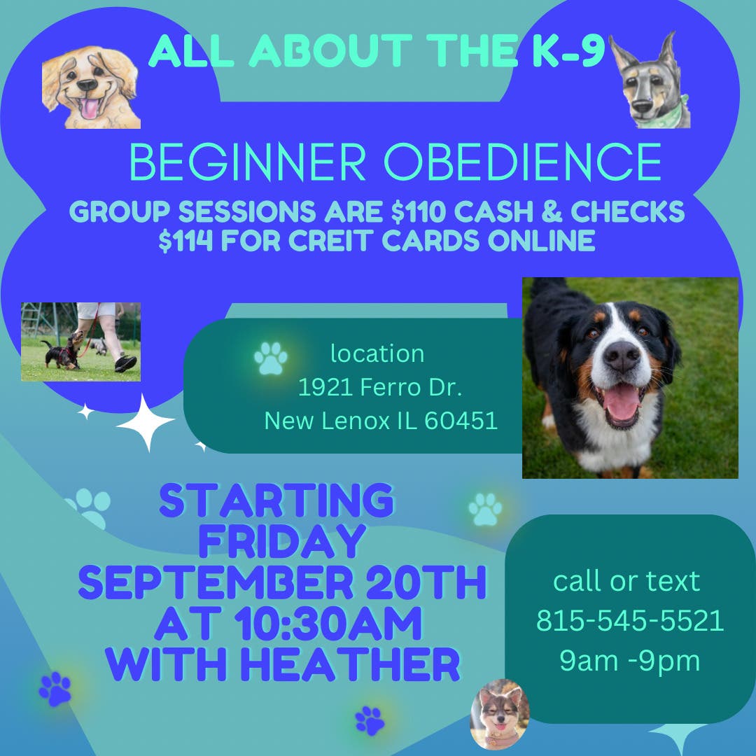 Beginner Obedience 