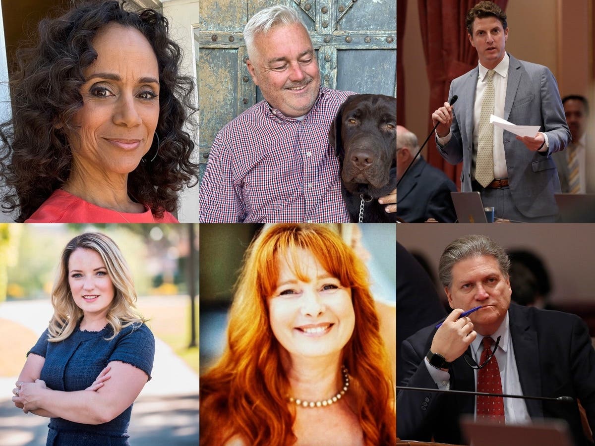 Six candidates will go head-to-head for Sheila Kuehl's seat on the Los Angeles County Board of Supervisors June 7. Clockwise from top left: Roxanne Beckford Hoge, Craig Brill, Henry Stern, Lindsey Horvath, Jeffi Girgenti, Bob Hertzberg. 