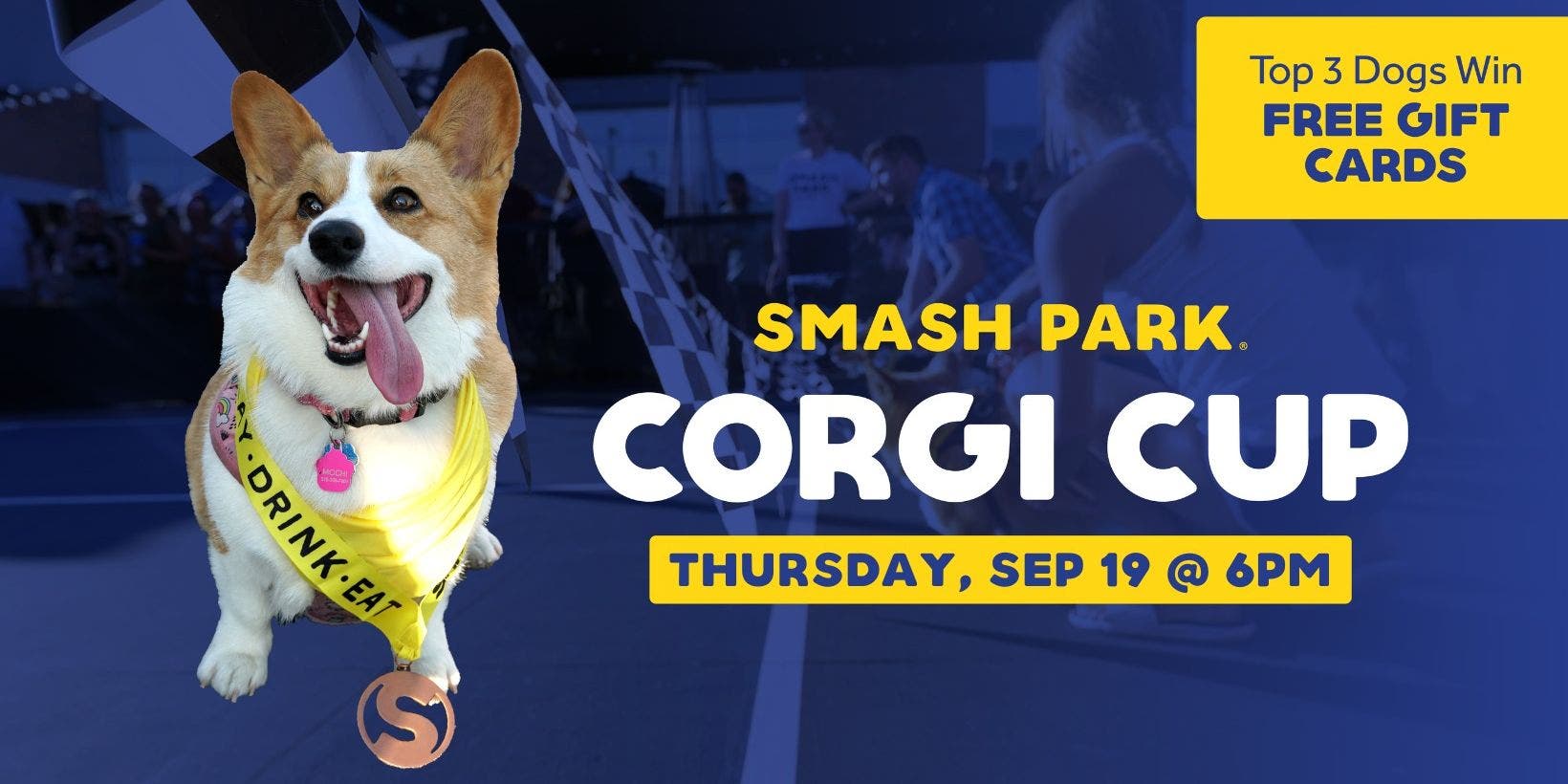 Corgi Cup II