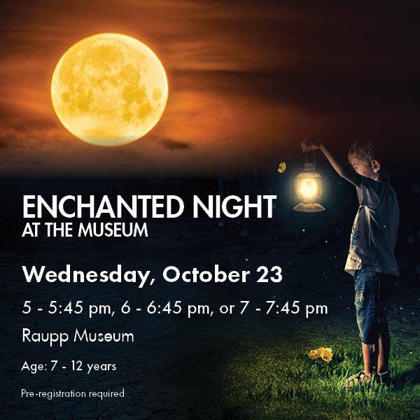 Enchanted Night at the Museum