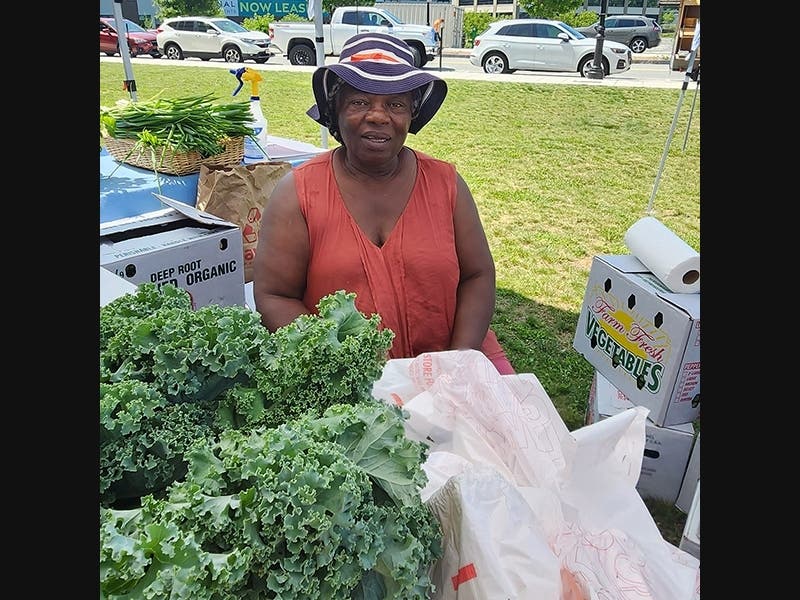 Mill City Grows received a 2023 $10,000 Women Working Wonders Fund grant for their Merrimack Valley Growers' Aid (MVGA) program. This program will provide access to land, training, and technical assistance to 12 growers who identify as women. Seona Ban Ng