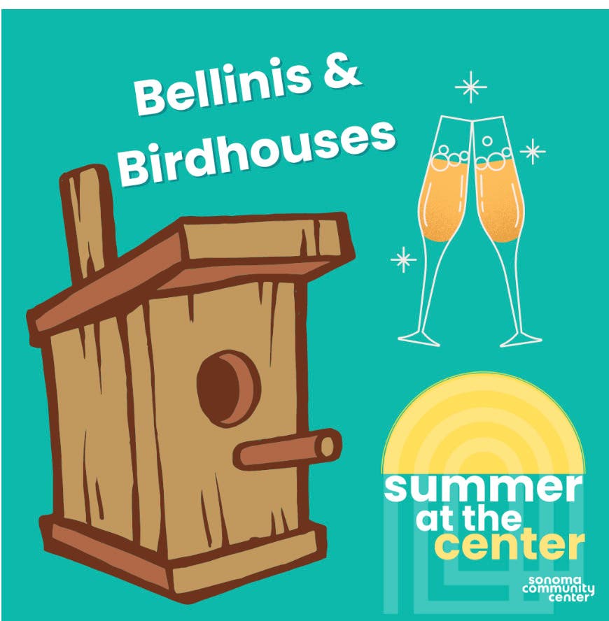 Bellinis and Bird Houses: Bird House Workshop