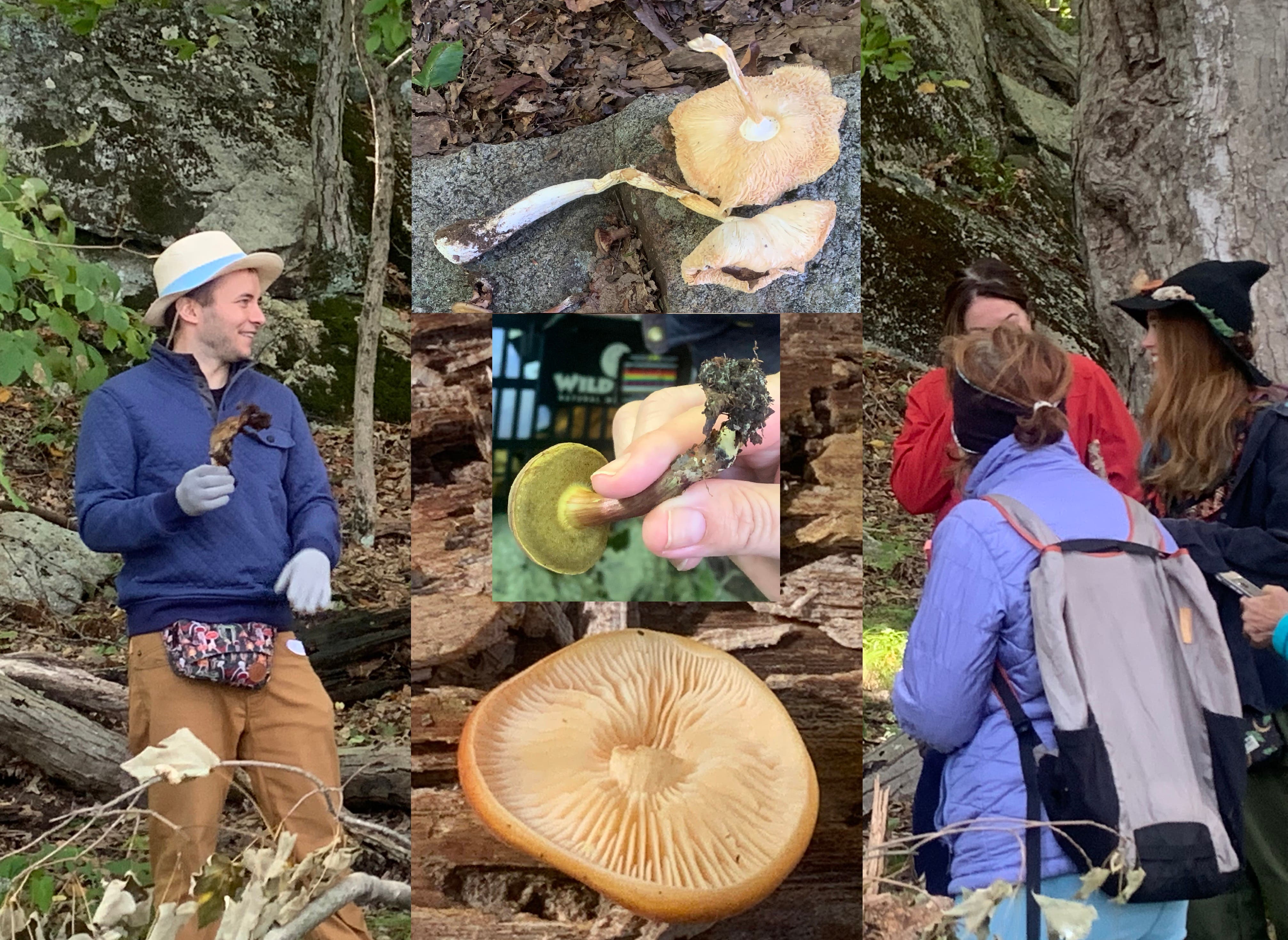 Fall Mushroom Walk on Saturday, October 19 with Mycologist, Zaac Chaves