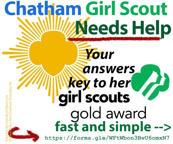 Chatham Girl Scout Needs Help 