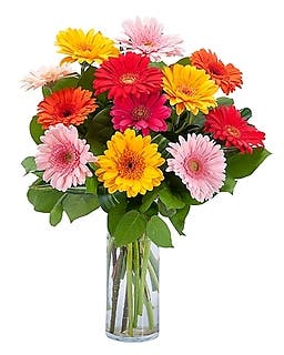 Discover Exquisite Blooms at Blake Florist & Flower Delivery in Rockledge