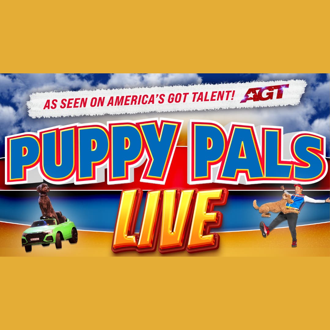 Puppy Pals LIVE