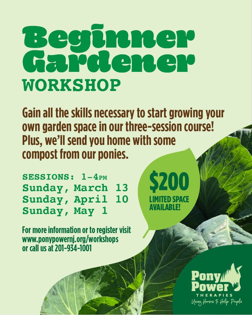 Beginner Gardener Workshop