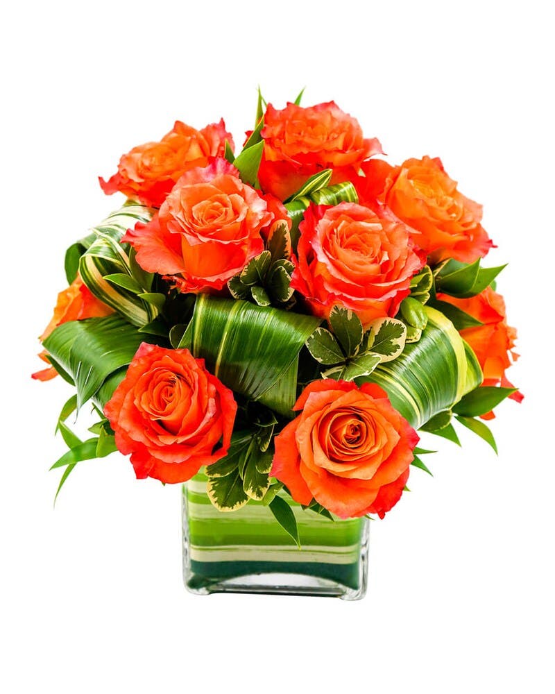 Blooming Elegance: Alex Waldbart Florist & Flower Delivery in St. Louis