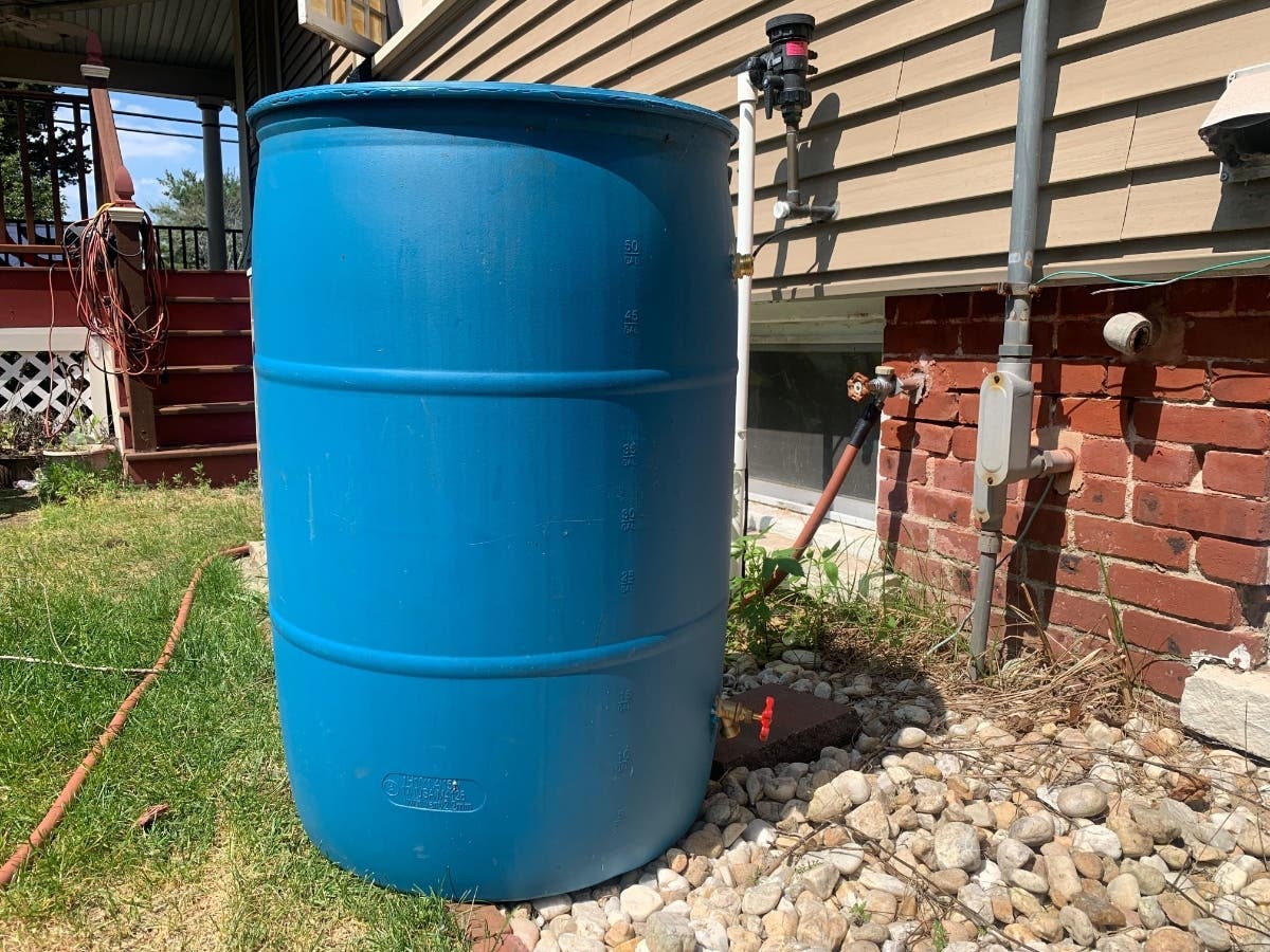 Rain barrels collect excess rainwater, which can then be reused.