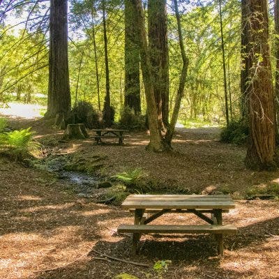 Farewell to Summer Hike at Jack London State Historic Park