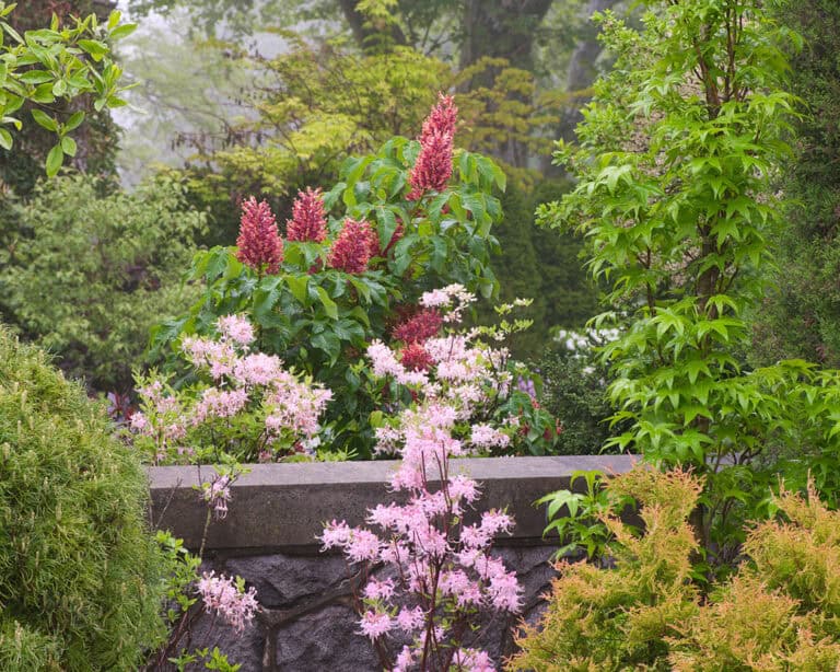 The Transformation of an Estate Turned Public Garden ~ With Ethan Kauffman, Director, Stoneleigh