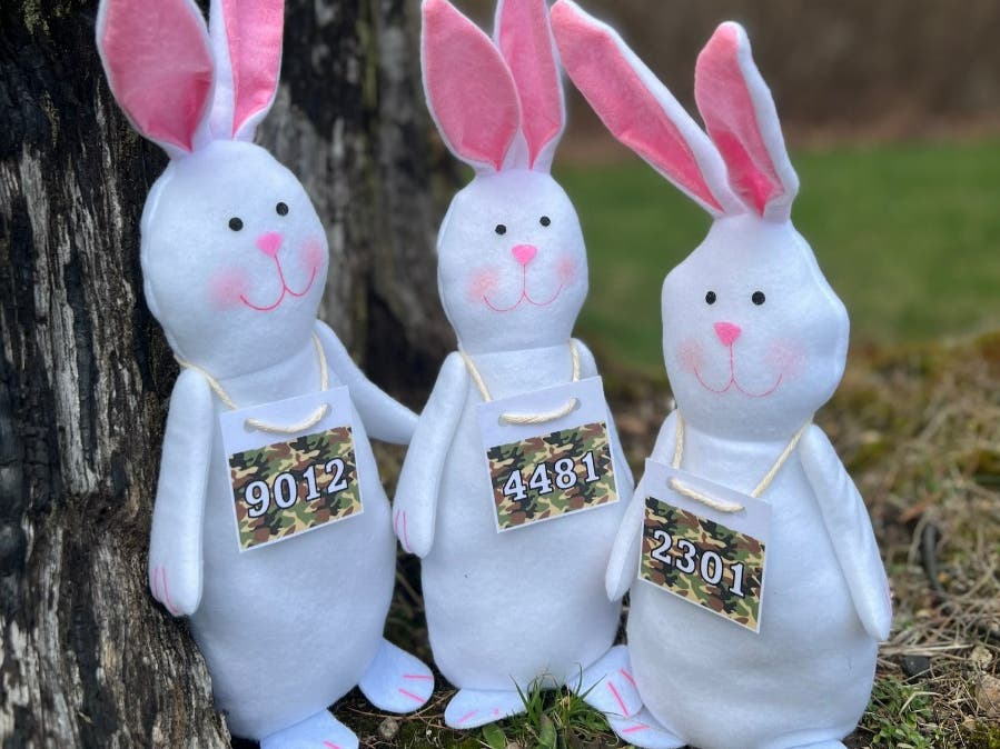 Outdoor Solve & Seek Adventure Game - The Easter Bunny Bandit