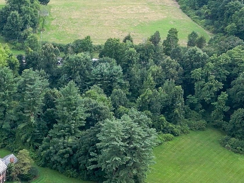 This nearly 2-acre parcel was pegged for development in Farmington, but thanks to a 'generous' donation to the Farmington Land Trust, it will stay pristine and undisturbed on Farmington Avenue. 