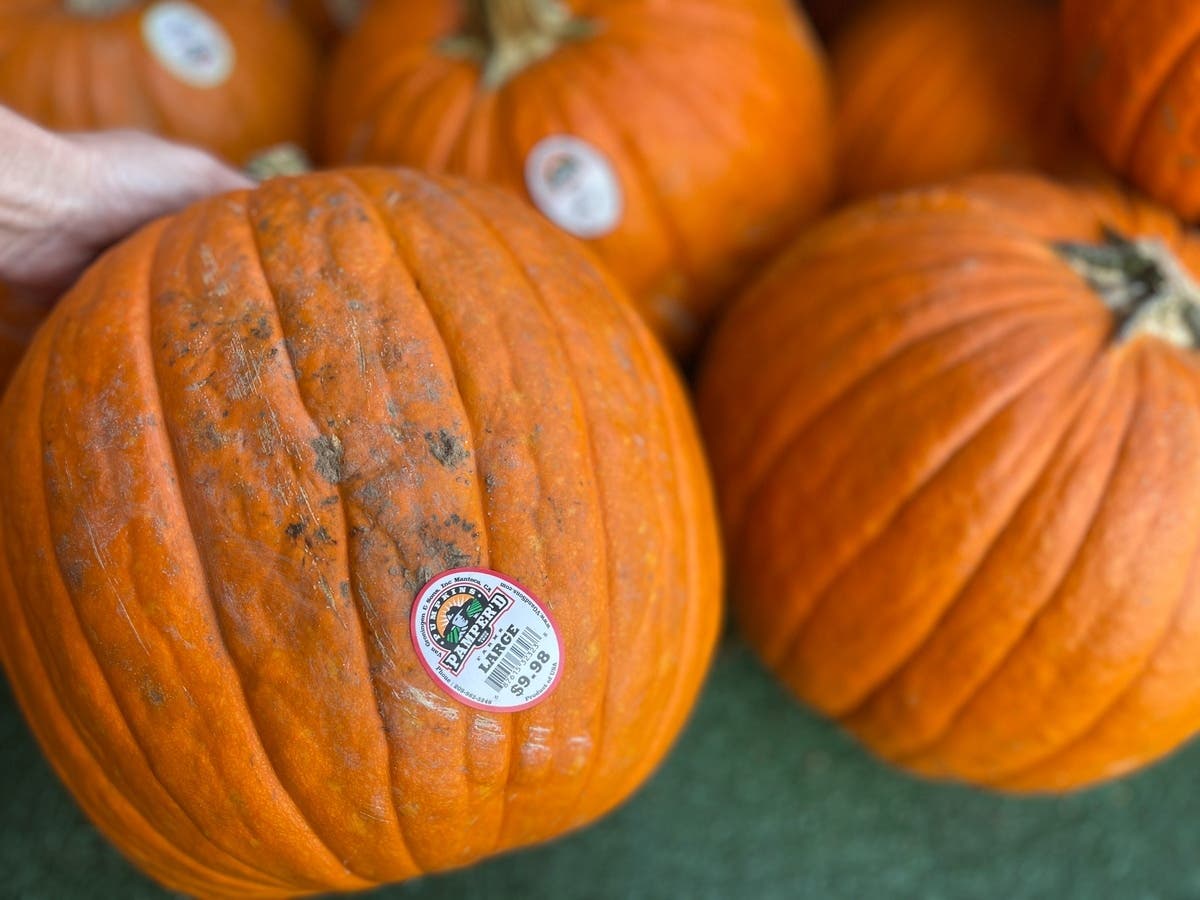 Pumpkin prices in the Wakefield area may vary, but recent numbers can give people an idea of how much to expect to pay before heading out to the fields and patches. 