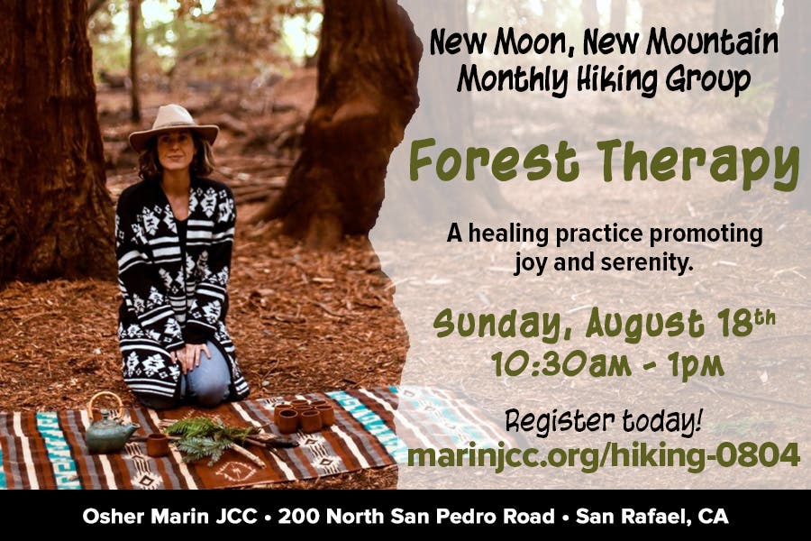 New Moon, New Mountain Forest Therapy Hike