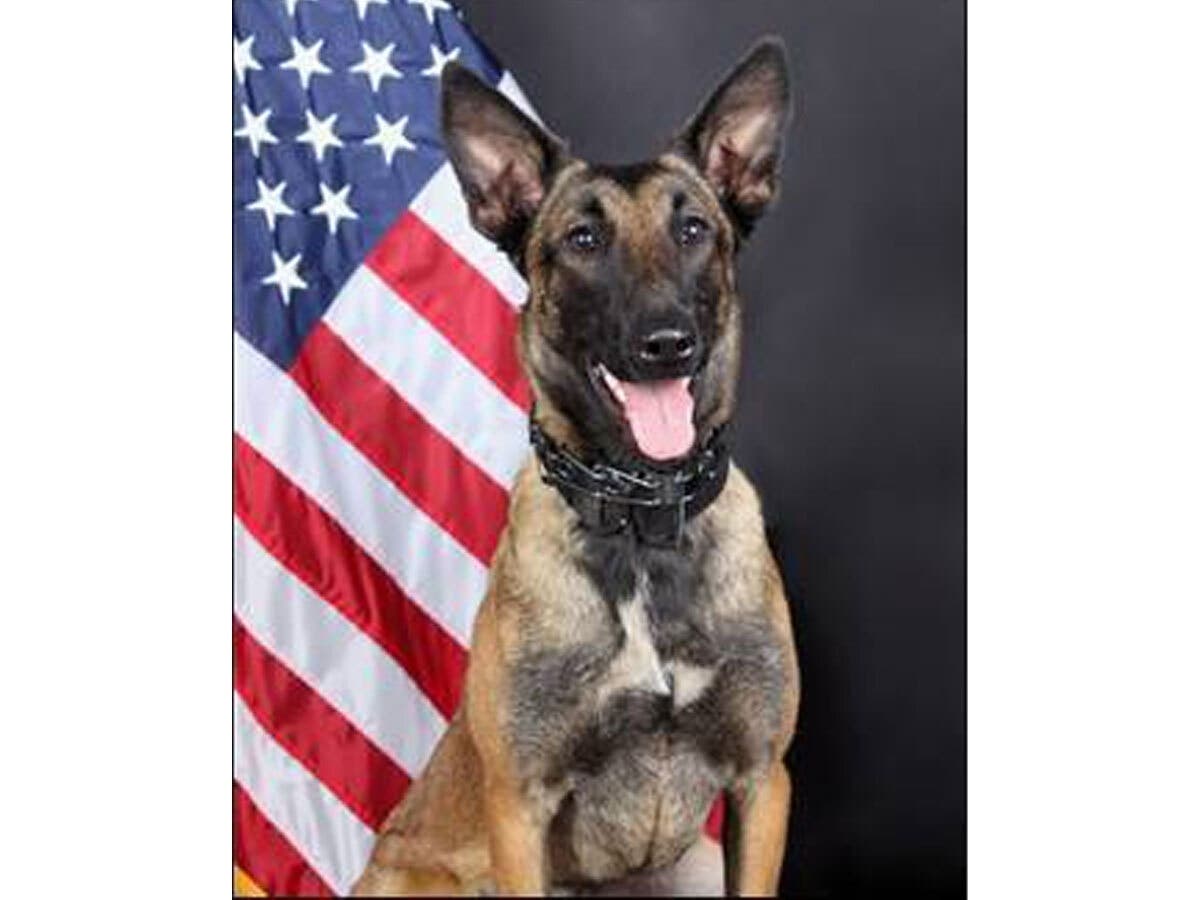 K9 Peper of the Gwinnett County Police Department dies at age 6 after a mass near her heart caused medical complications.