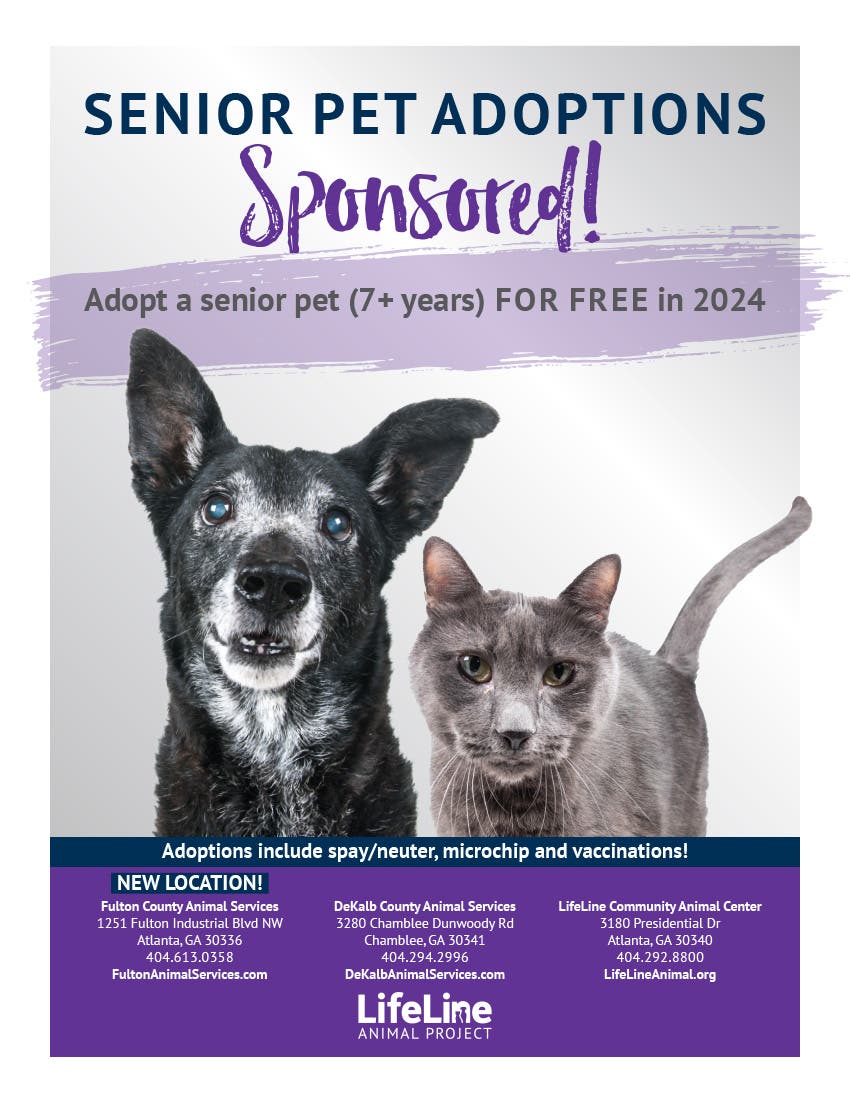 ALL Senior Pets Sponsored in 2024