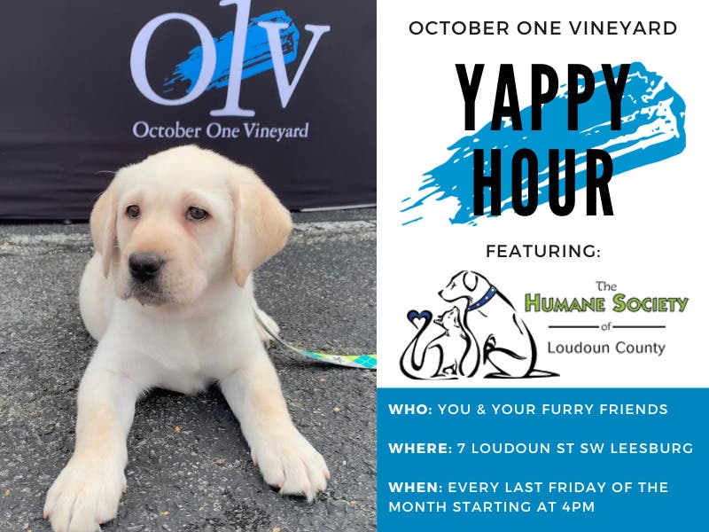 Yappy Hour at October One