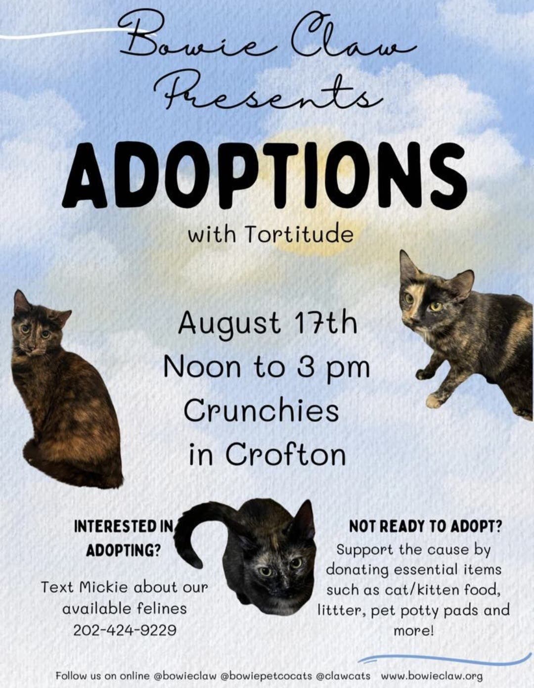 Cat and Kitten Adoption Event! 😸