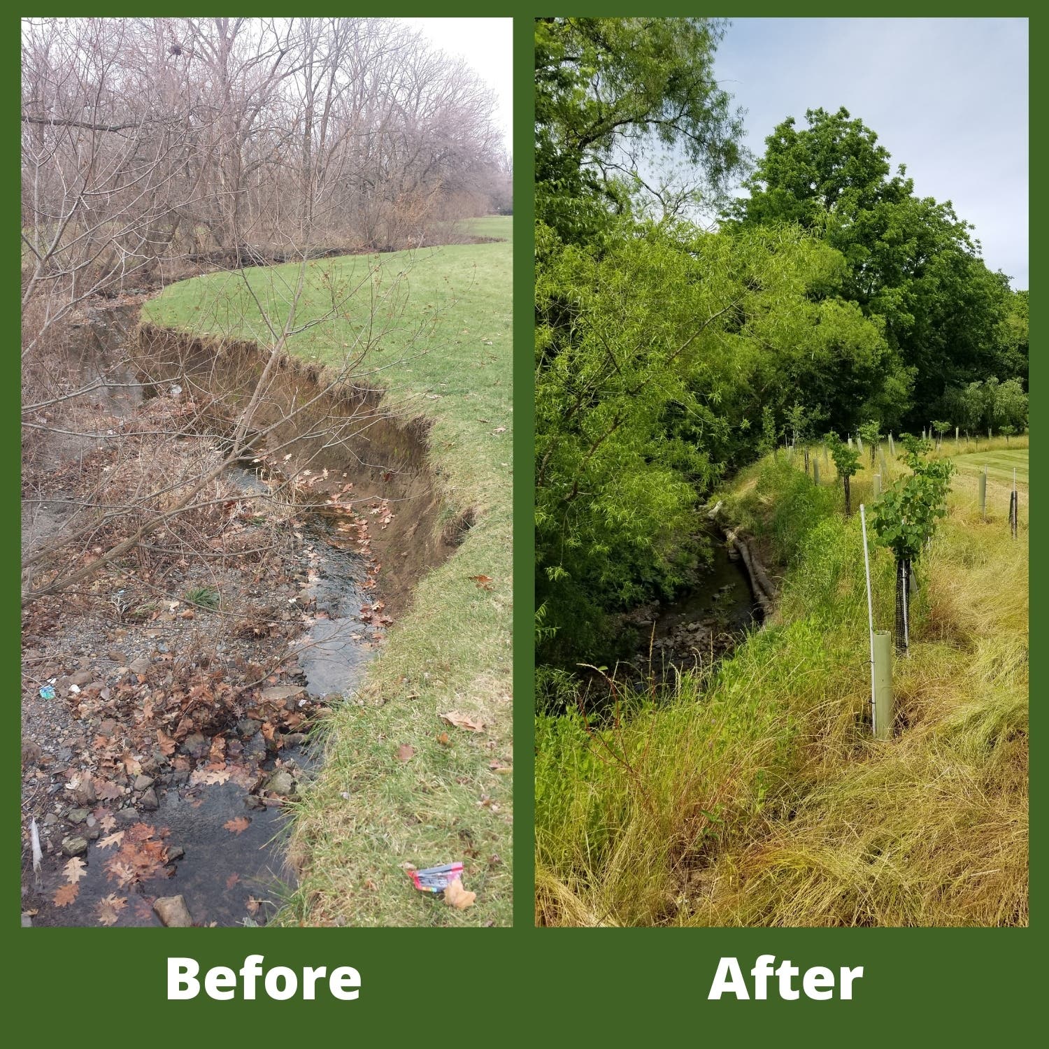 Wildlands Conservancy’s Stream Team 2024 - Mill Race Park