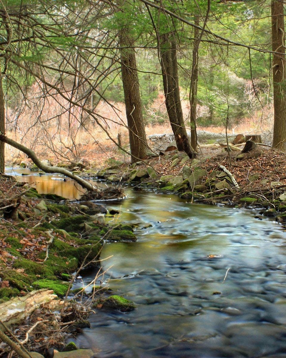 Wildlands Conservancy – Get Out! For Wellness: Peace Valley Nature Center