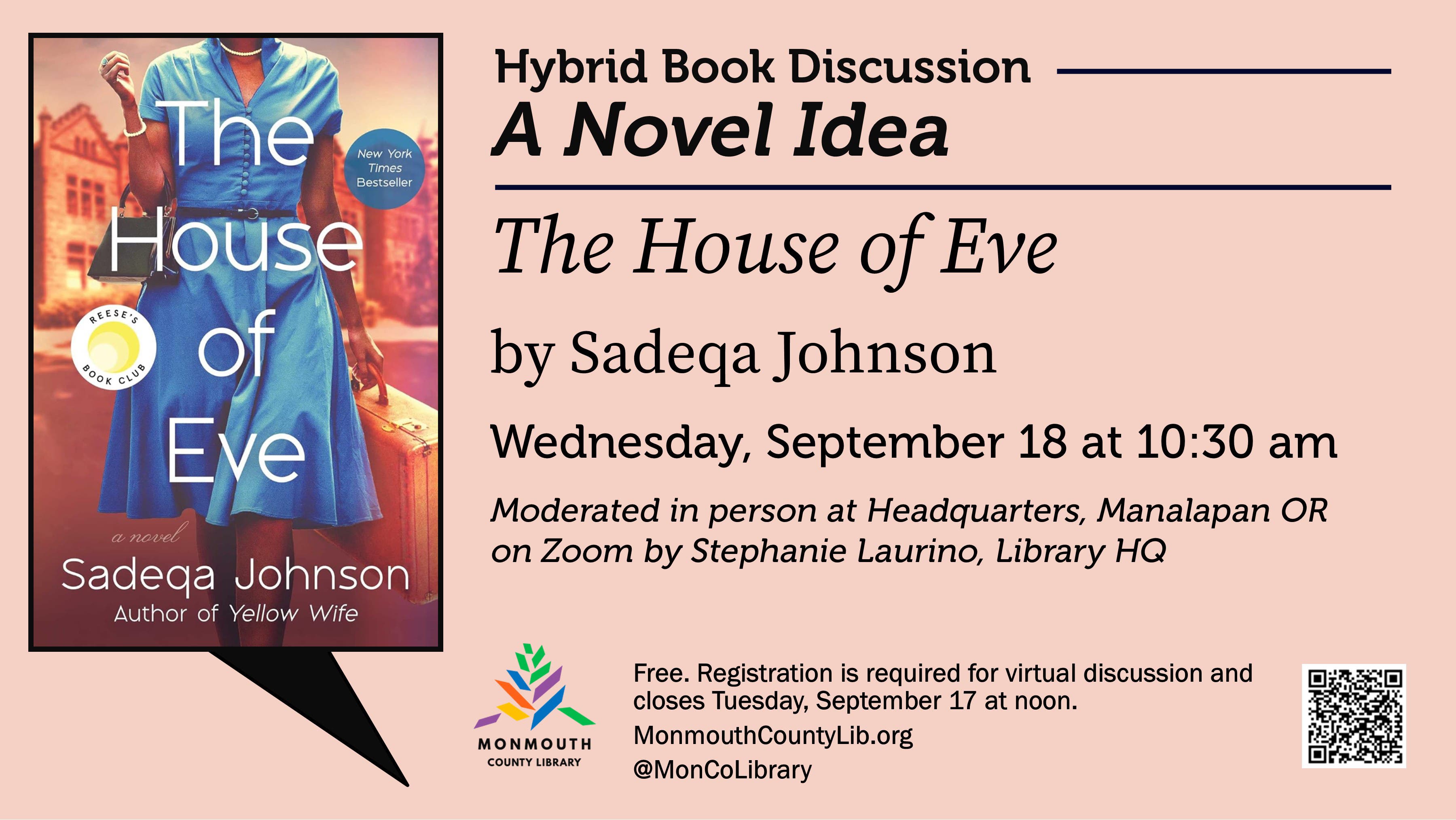 A Novel Idea: Hybrid Book Discussion