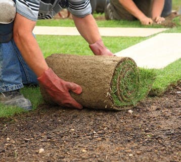 Get the best Landscape Development Service in Escondido.