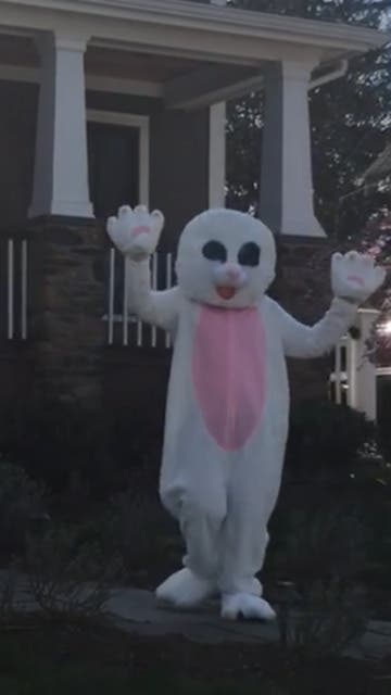 Easter Bunny visits and easter egg hunt