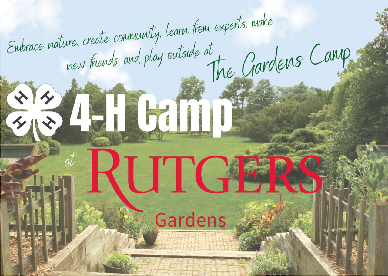 Announcing 4-H Camp at Rutgers Gardens