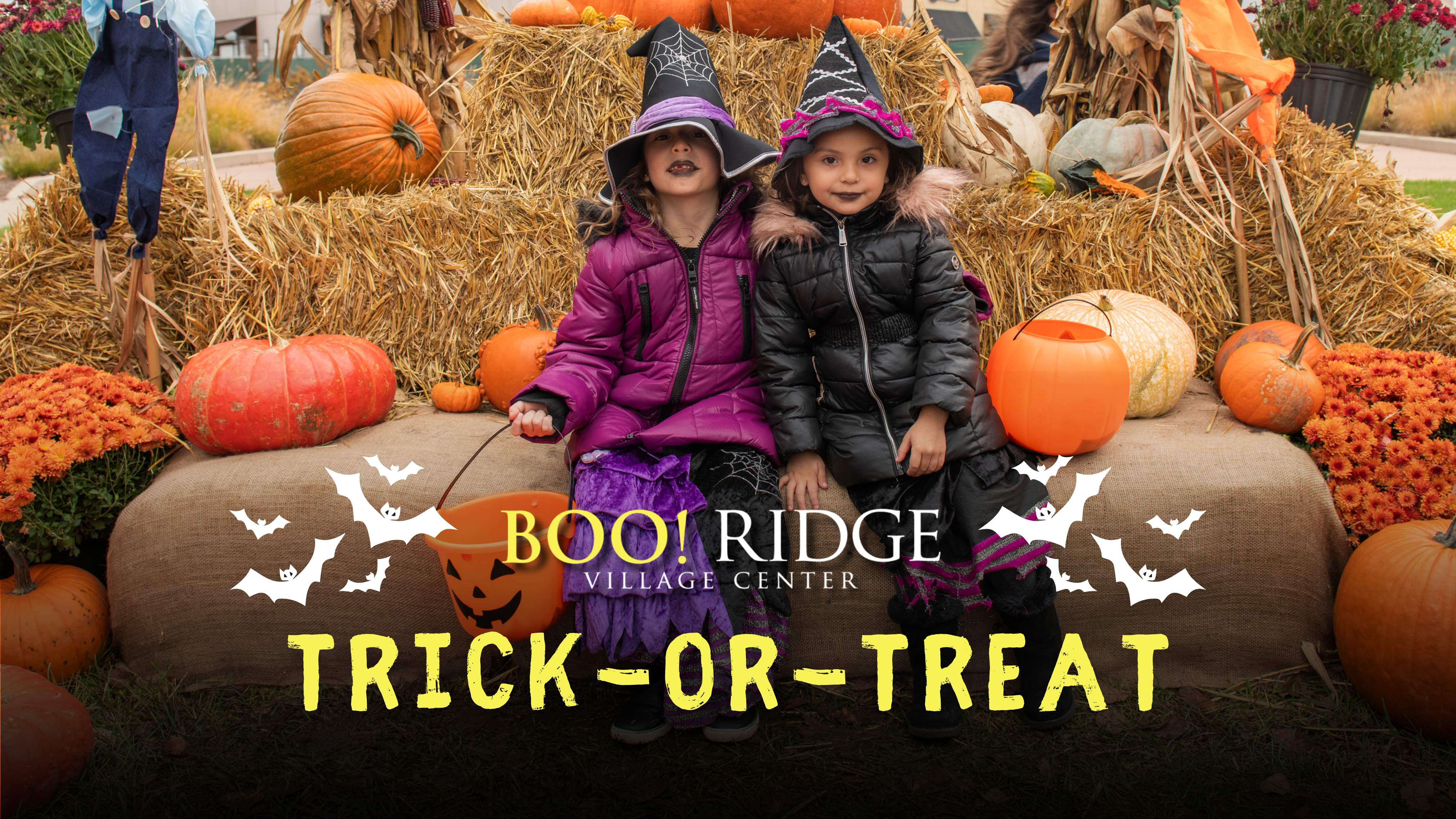 Boo! Ridge Halloween at Burr Ridge Village Center