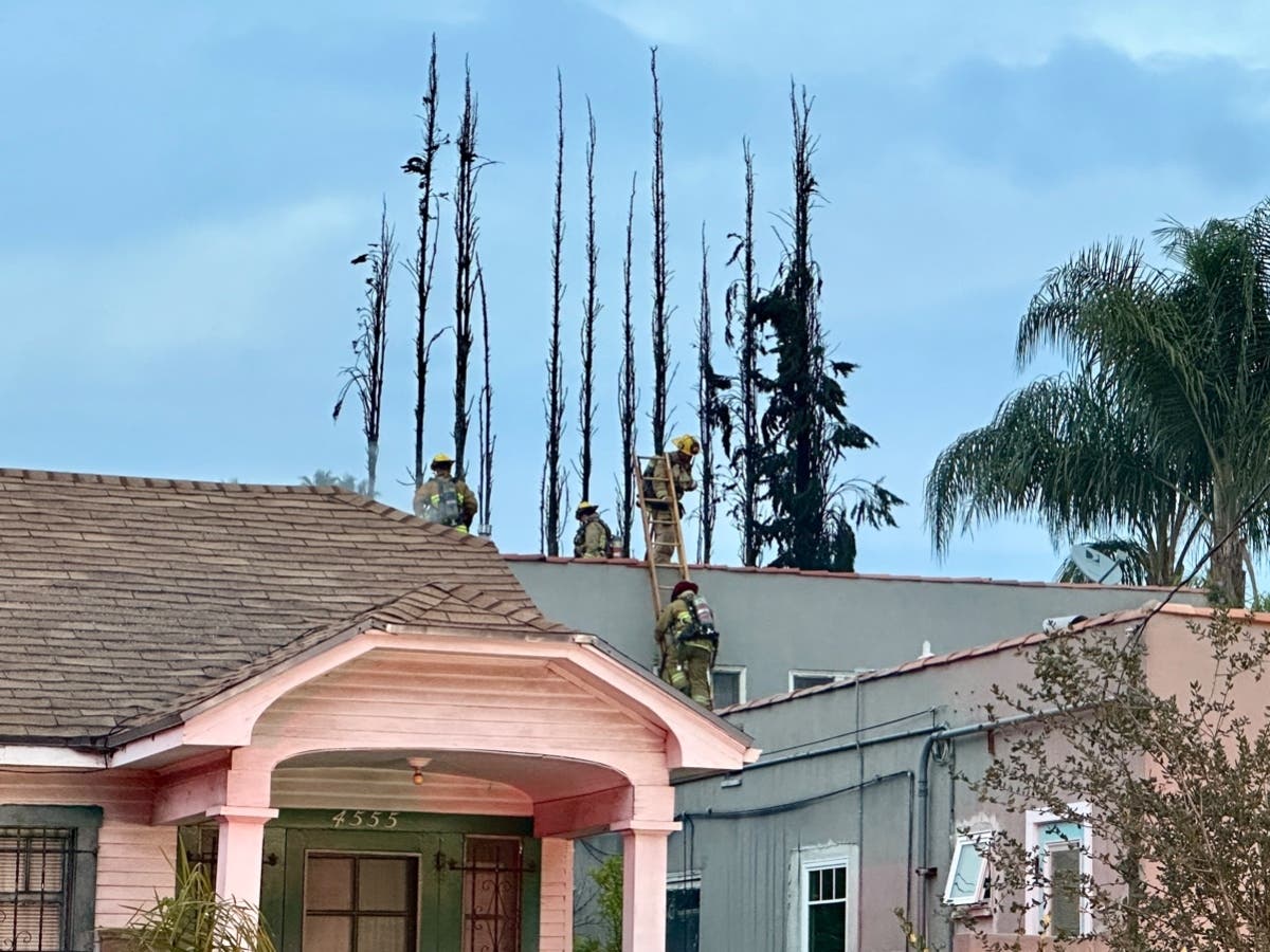 Firefighters climb down from the roof of a building impacted by a fire in Los Feliz Wednesday, with a row of trees charred by the fire visible in the background.