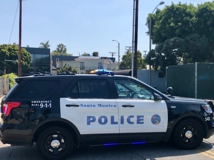 A man is facing several felony charges connected to the violent attack of three women at Santa Monica State Beach last month, according to police