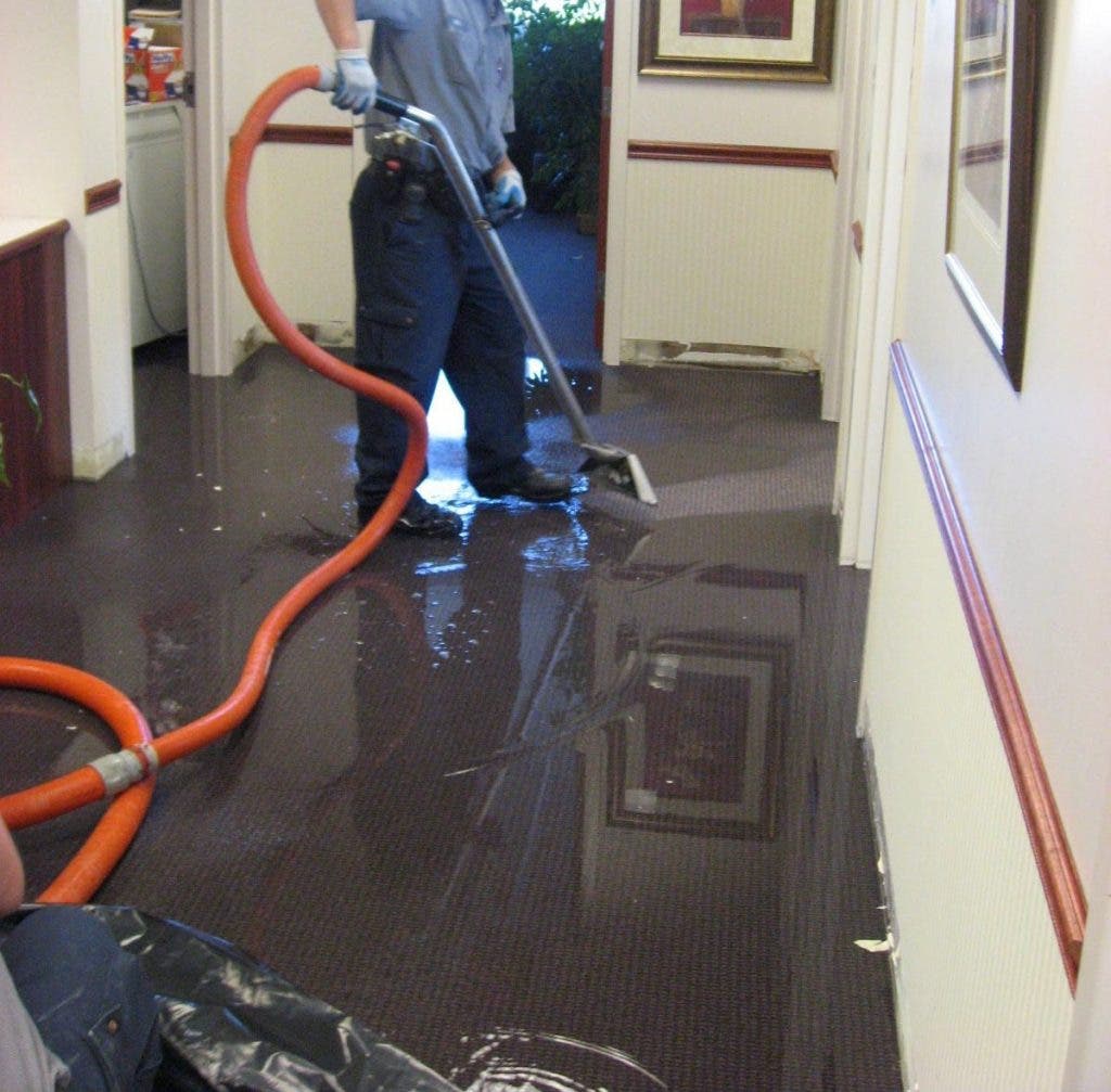 Water Damage Restoration: Understanding the Process and Importance