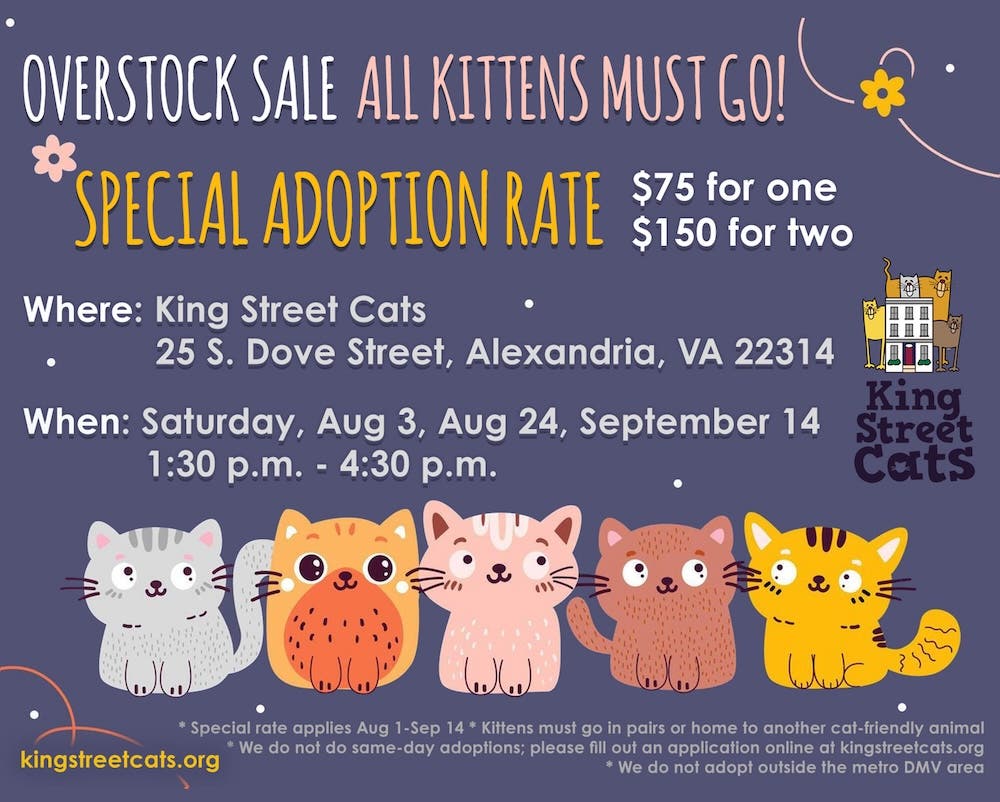 Overstock Sale -- All Kittens Must Go!