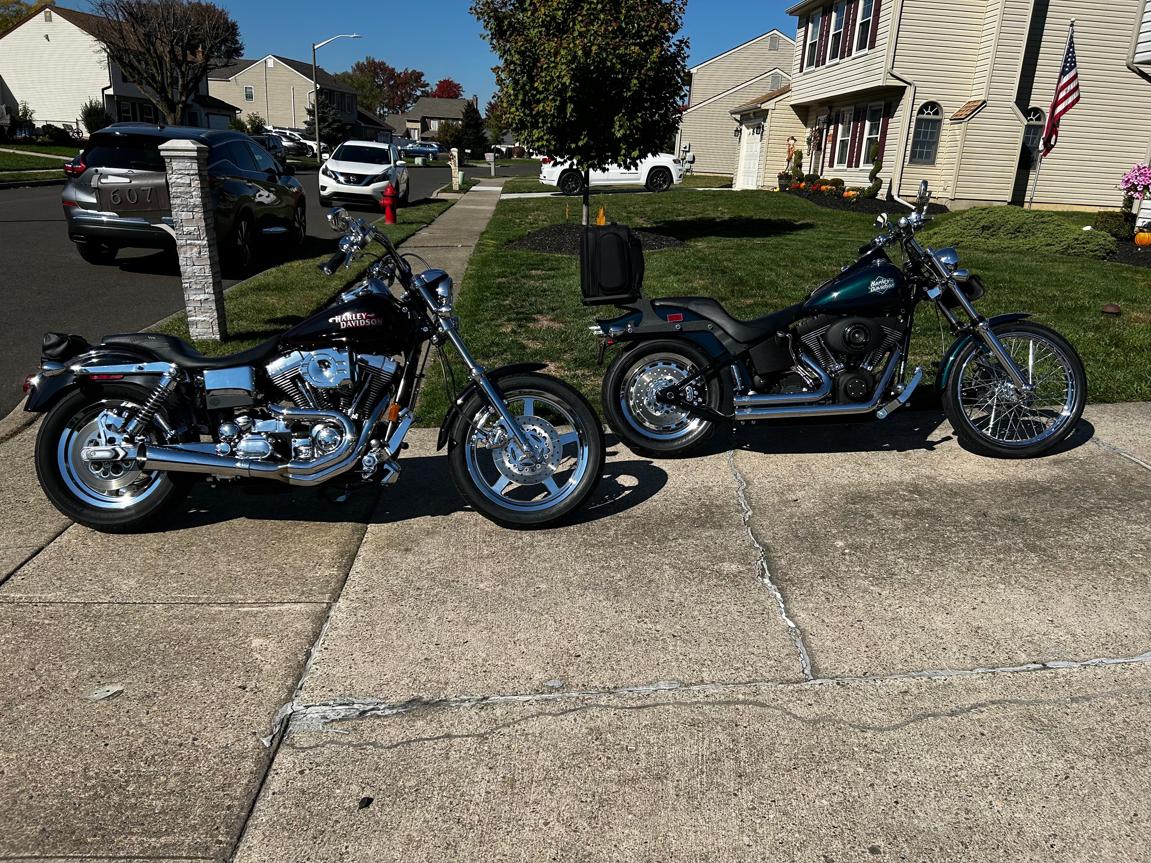 Summer Riding For Sale!