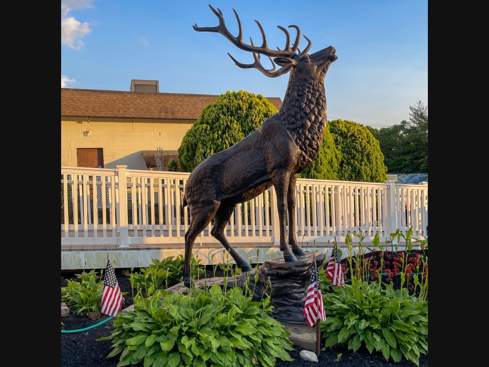 Elk statue in garden at Toms River Elks #1875