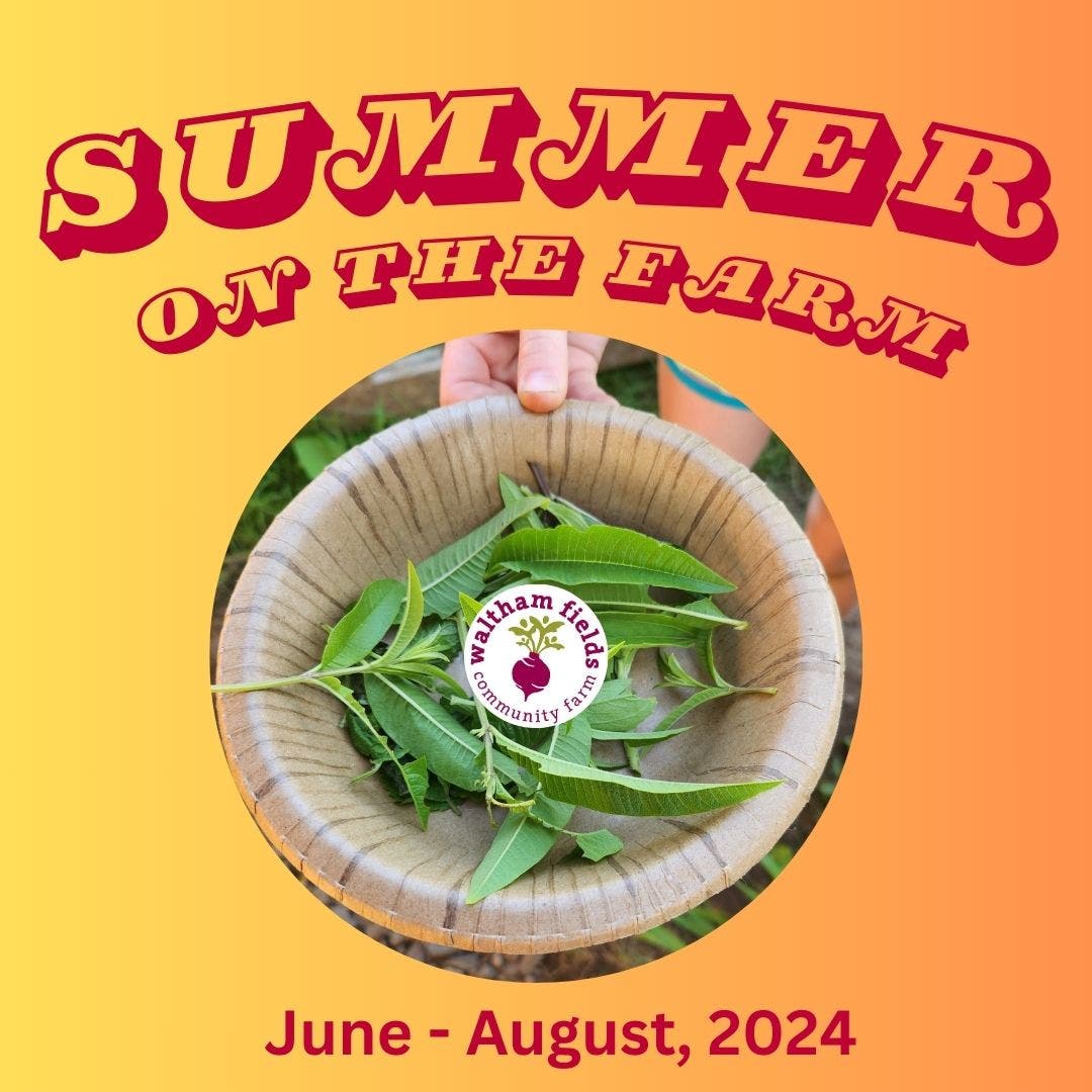 Summer on the Farm | Week 3 | drop-off program | 9am-1pm | grades 1-8